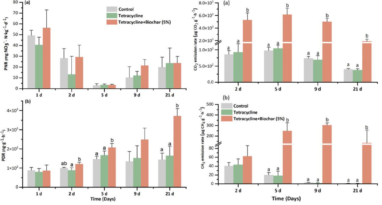 Researchers Unveil Effects of Tetracycline on Nitrogen and Carbon Cycling Rates and Microbial Abundance