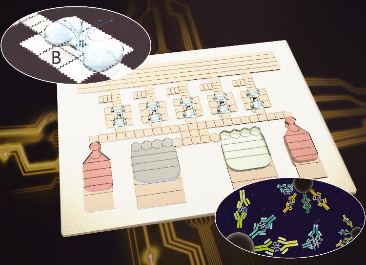 Researchers Develop New Tech of Digital Microfluidic Generation for on-chip Parallel Chemiluminescence Immunoassay