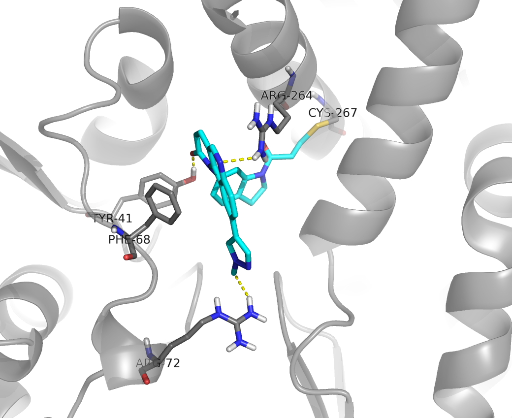 Novel Strategy Discovered for FLT3-ITD-positive Acute Myeloid Leukemia