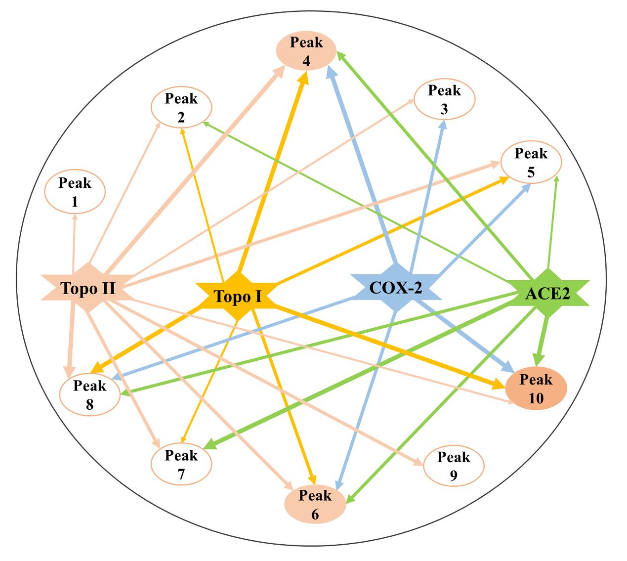 The constructed multi-component and multi-target network incorporating the potential bioactive components screened out with multiple drug targets (Image by WBG).jpg