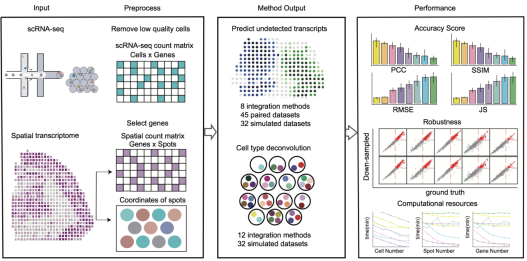 The benchmark process of integrating spatial transcriptomics data with scRNA-seq data. (Image by LI Bin et al.).png