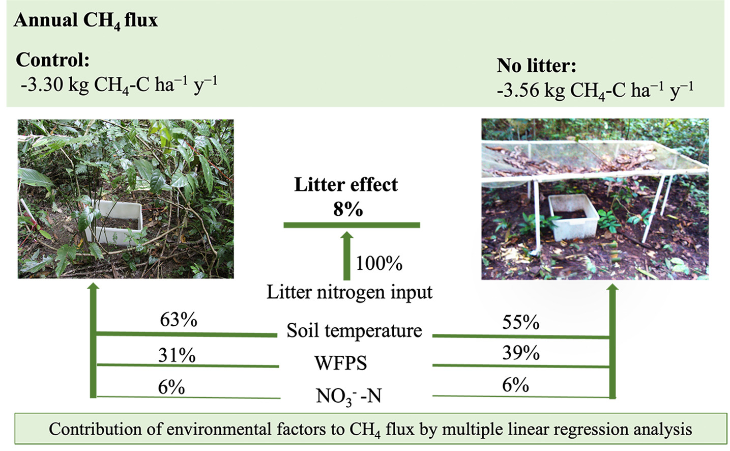 Litter-derived nitrogen reduces methane uptake in tropical rainforest soils