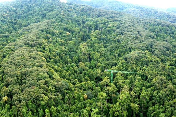 Forest canopy crane in Xishuangbanna tropical rainforest.jpg
