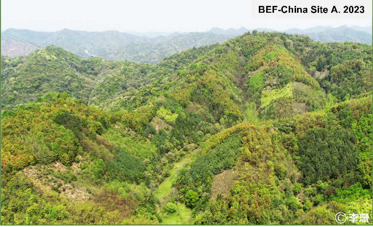 BEF-China Site A.jpg