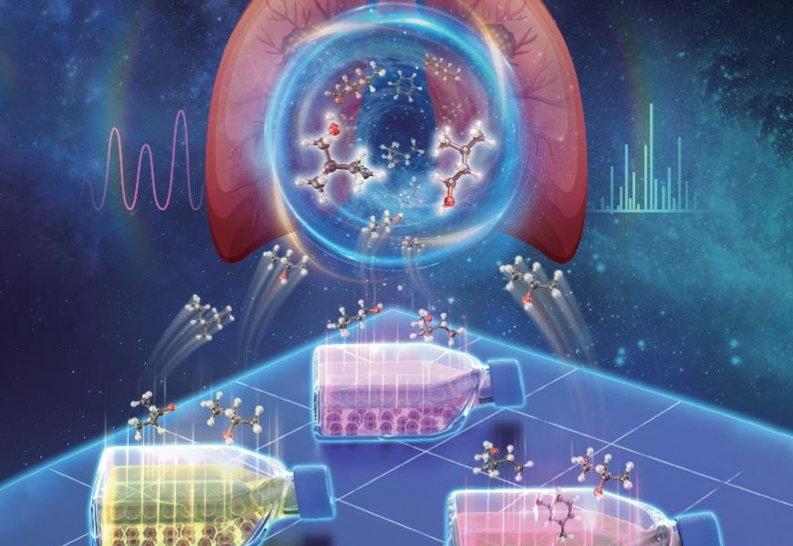 New Approach Identifies Reproducible VOCs for Lung Cancer Diagnosis