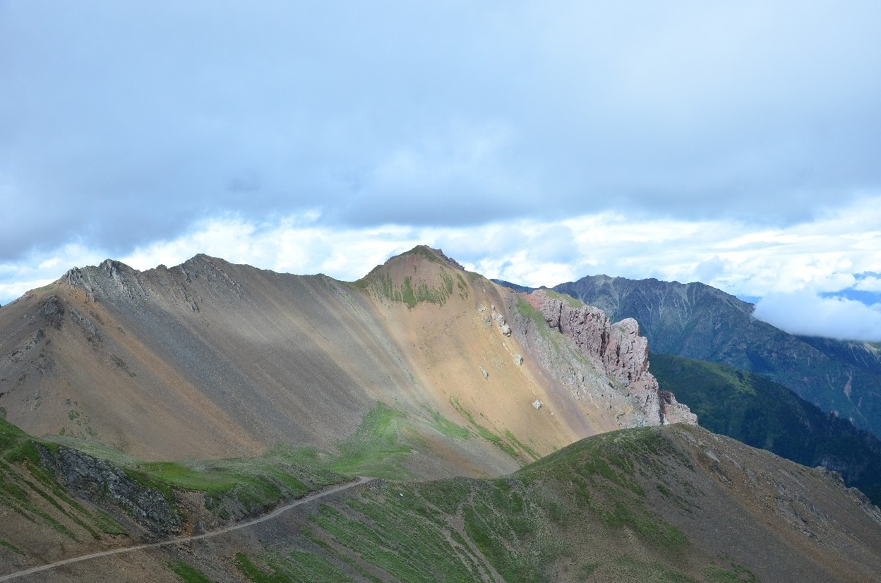 Researchers Uncover Genetic Mechanisms Underlying Camouflage Leaf Coloration in Corydalis Hemidicentra