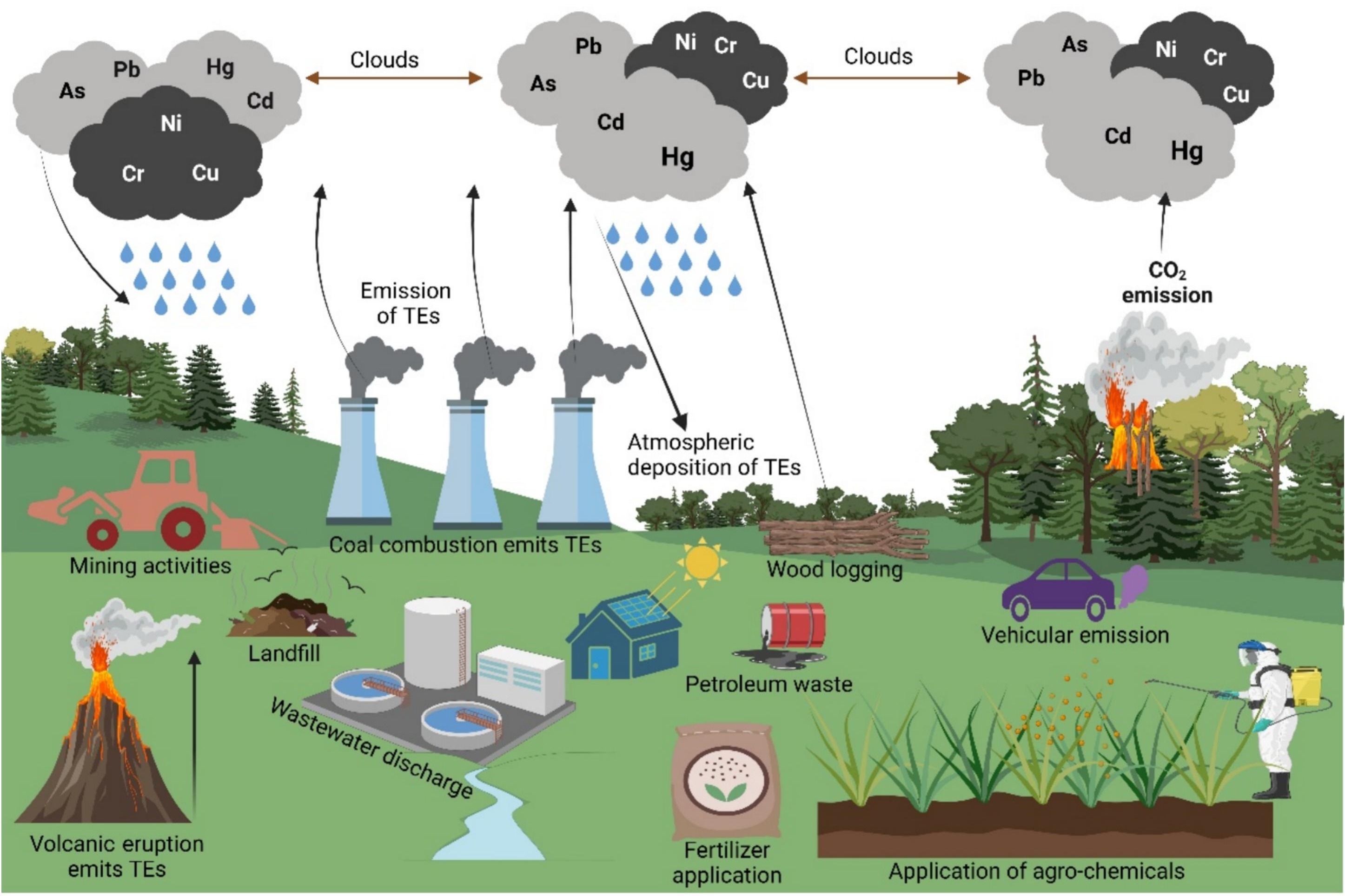 Study Clarifies Potential Drivers of Toxic Elements Along Elevational Gradients in Terrestrial Ecosystems