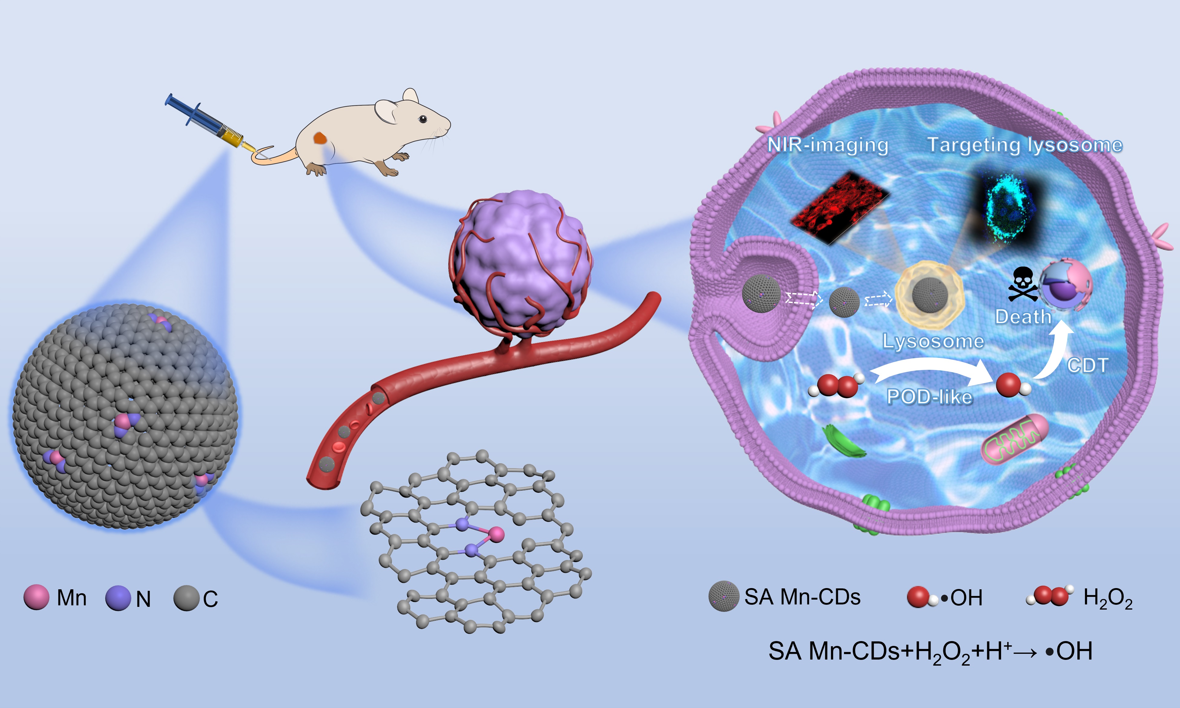 Low-coordination Mn Single-atom Nanozymes Enable Imaging-guided Cancer Therapy