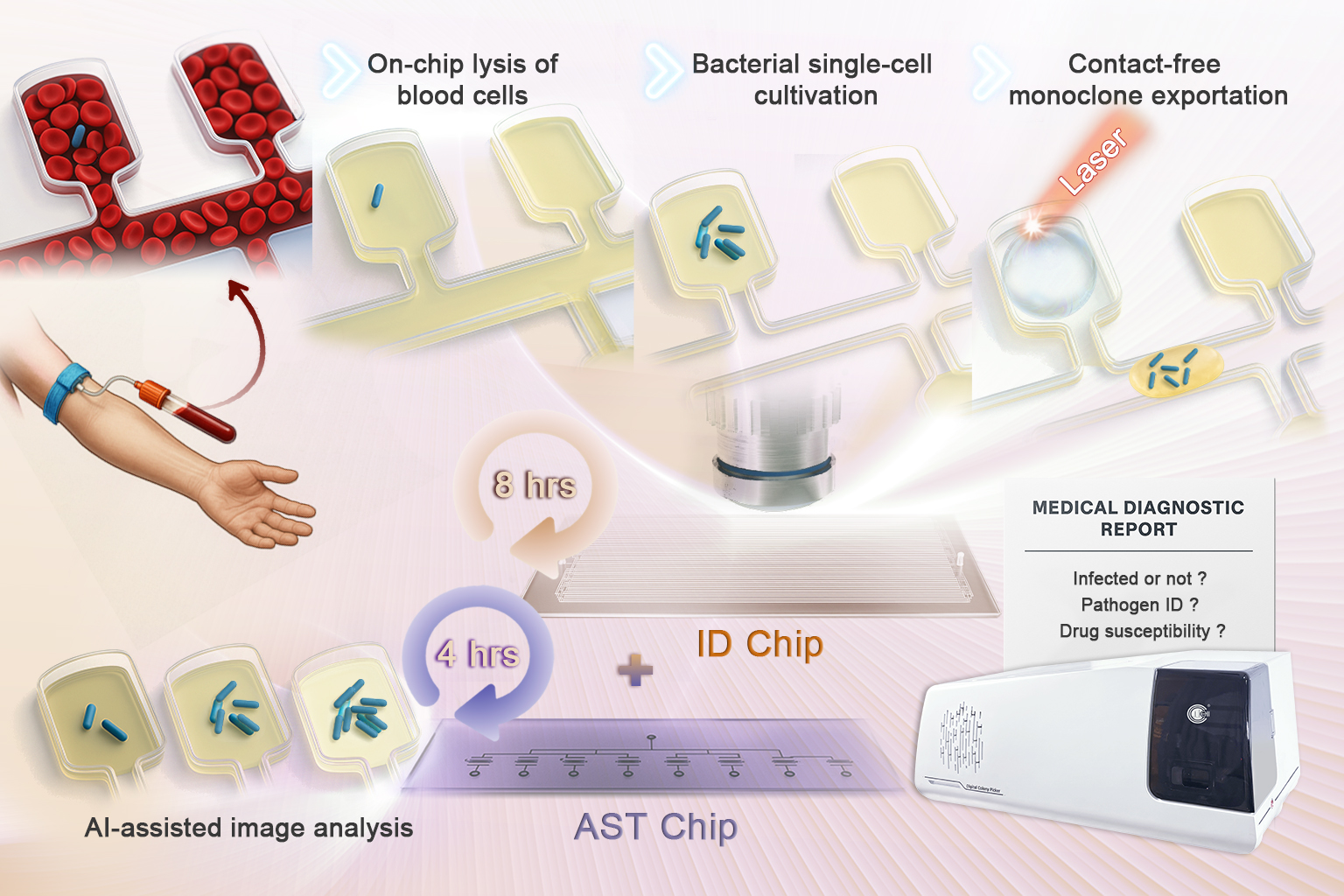 Researchers Develop New Platform to Slash Bloodstream Infection Diagnosis Time to 12 Hours