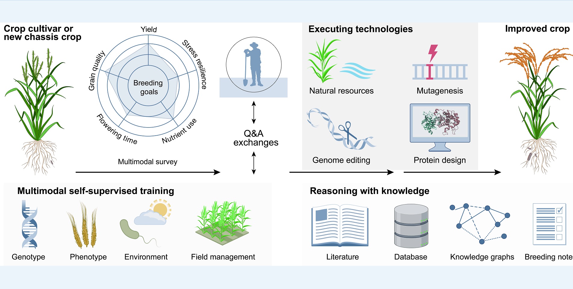 Scientists Propose AI-Driven Biotech Model for Future Crop Breeding