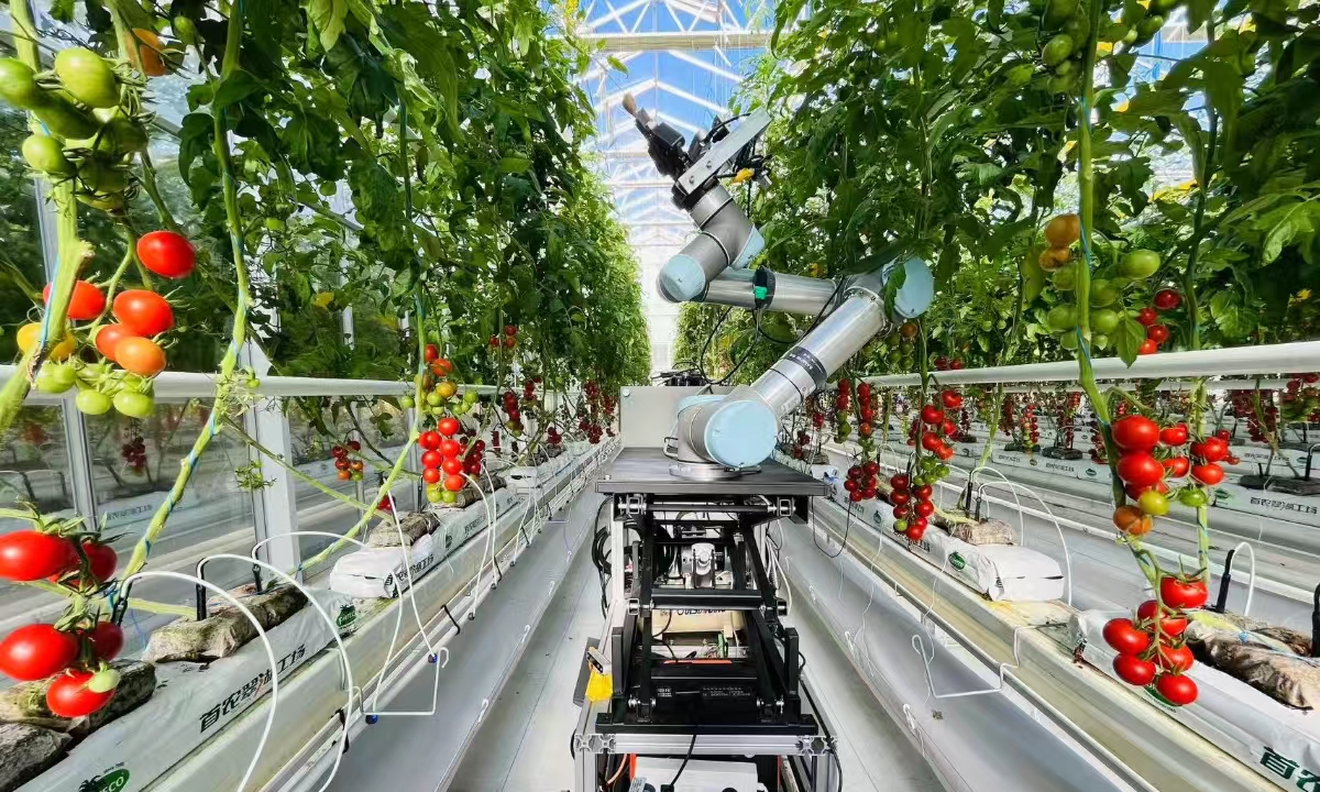 AI-powered Robotic Breeder GEAIR Takes Over Hybrid Crop Breeding