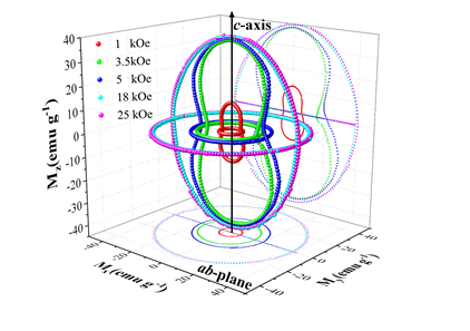 Researchers Find Field-dependent Anisotropic Magnetic Coupling in Two-dimensional Ferromagnets