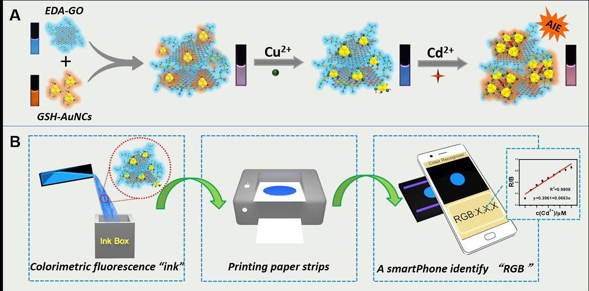 Colorimetric Fluorescent Sensor to Detect Cadmium Ions in Real Samples.png