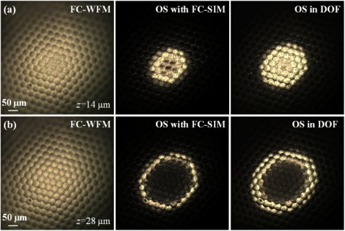 Imaging of a compound eye at different depths