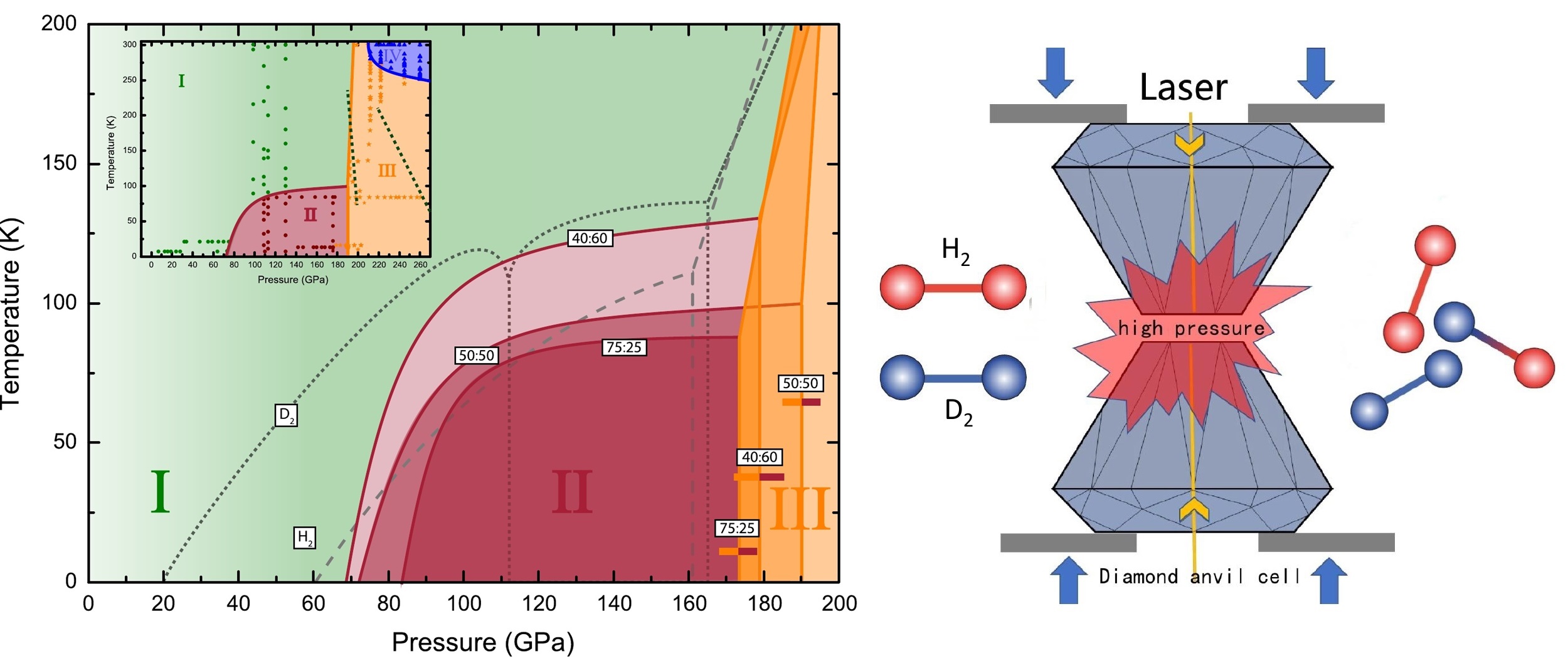 Researchers Discover Counterintuitive Effects of Isotopic Doping on Phase Diagram of H<sub>2</sub>–HD–D<sub>2</sub> Molecular Alloy