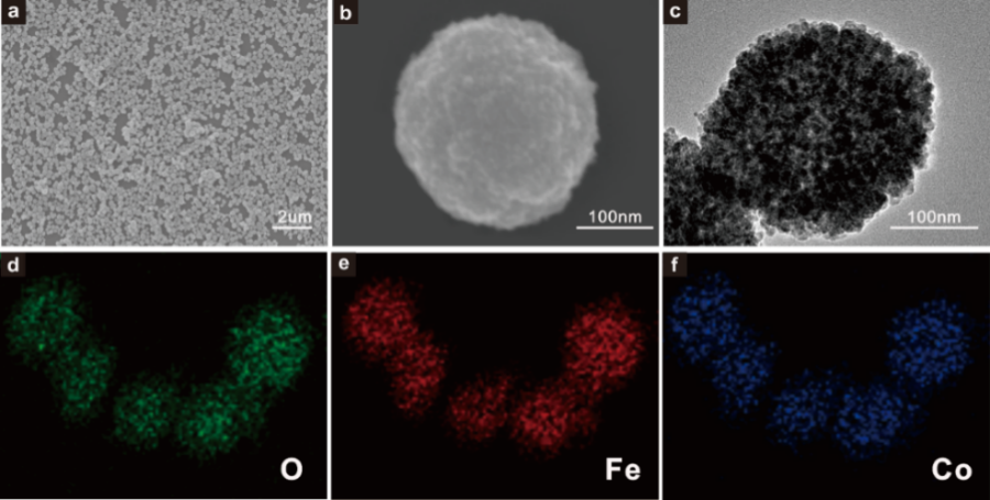 SEM images of the catalyst