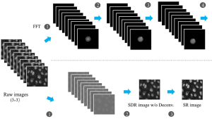 Rapid Super-resolution Microscopy: What You See Is What You Get
