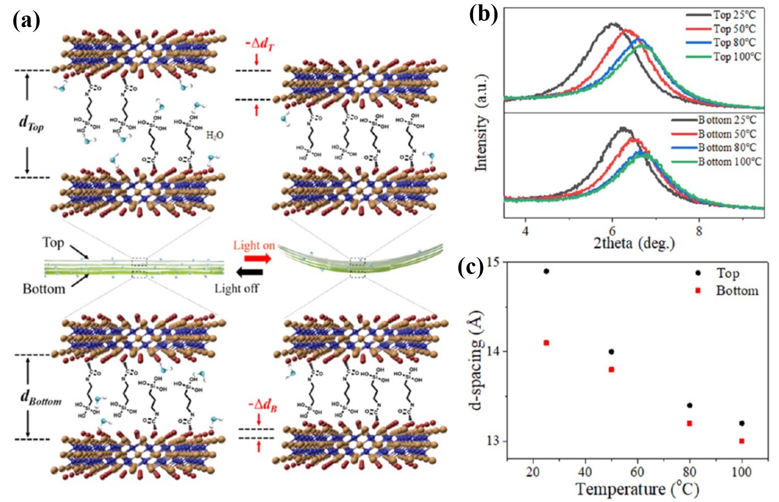 Researchers Unveil Mechanism of New Soft Actuator