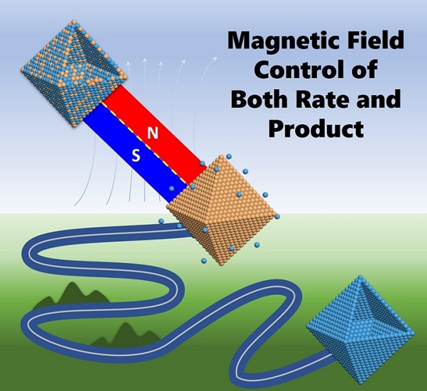 High Magnetic Fields Control Both Rate and Product of Chemical Reactions