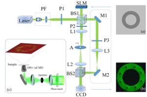 How to Efficiently Explore Orbital Angular Momentum for Trapping Microparticle?