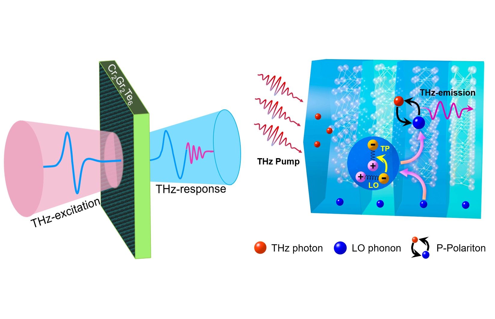 Researchers Develop New Phonon-based and Magneto-tunable Monochromatic Terahertz Source