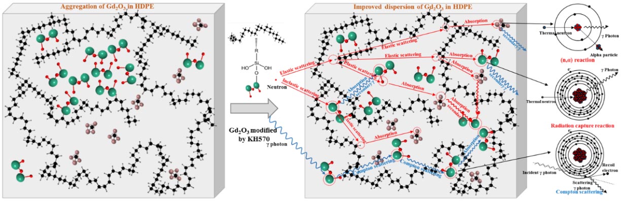 Scientists Invent Lead-free Composite Shielding Material for Neutron and Gamma-Ray