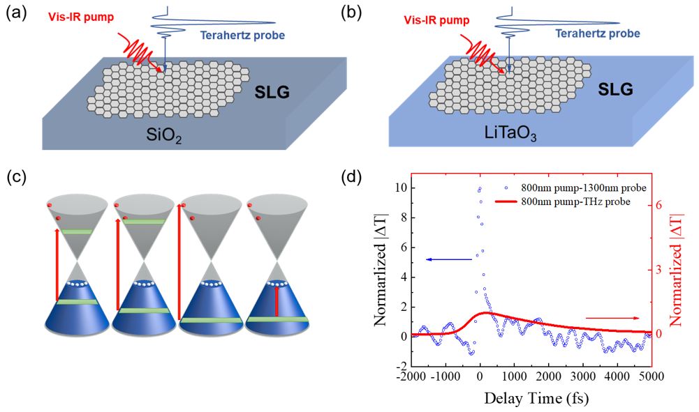 Schematic diagrams of the graphene thin film