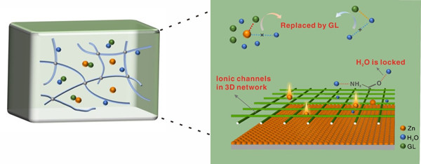 3D framework by the copolymerization.jpg
