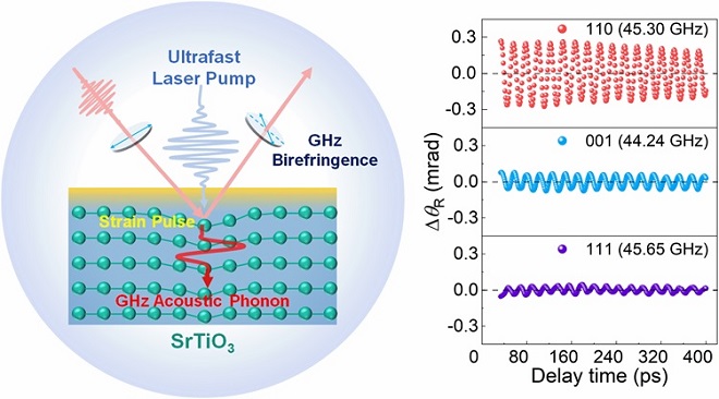 coherent acoustic phonon induced GHz frequency optical birefringence