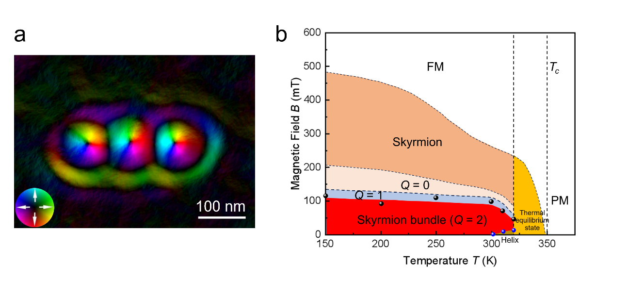 Magnetic skyrmion bundles with topological charge Q=2