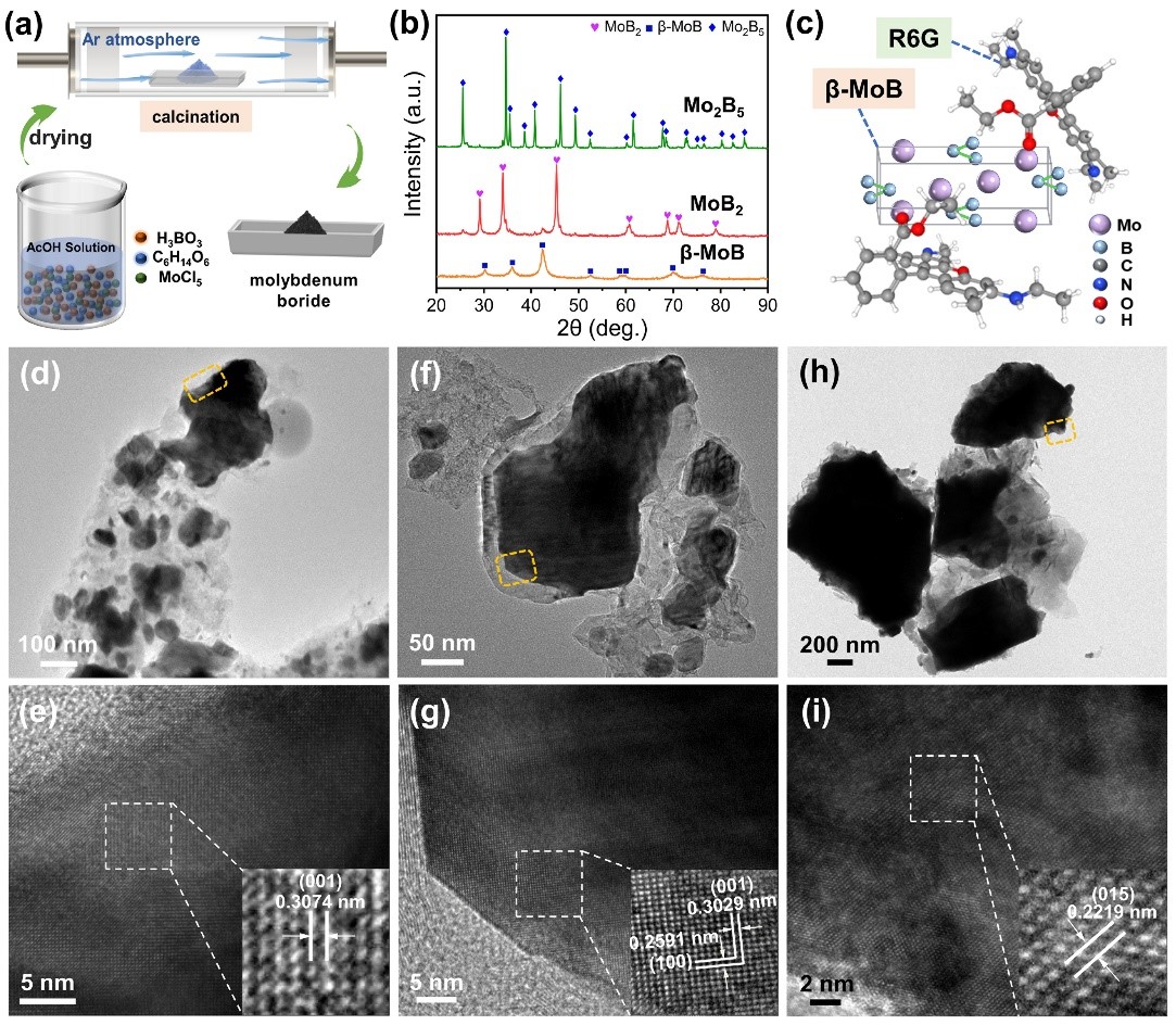 Preparation process and microstructure of molybdenum boride ceramics
