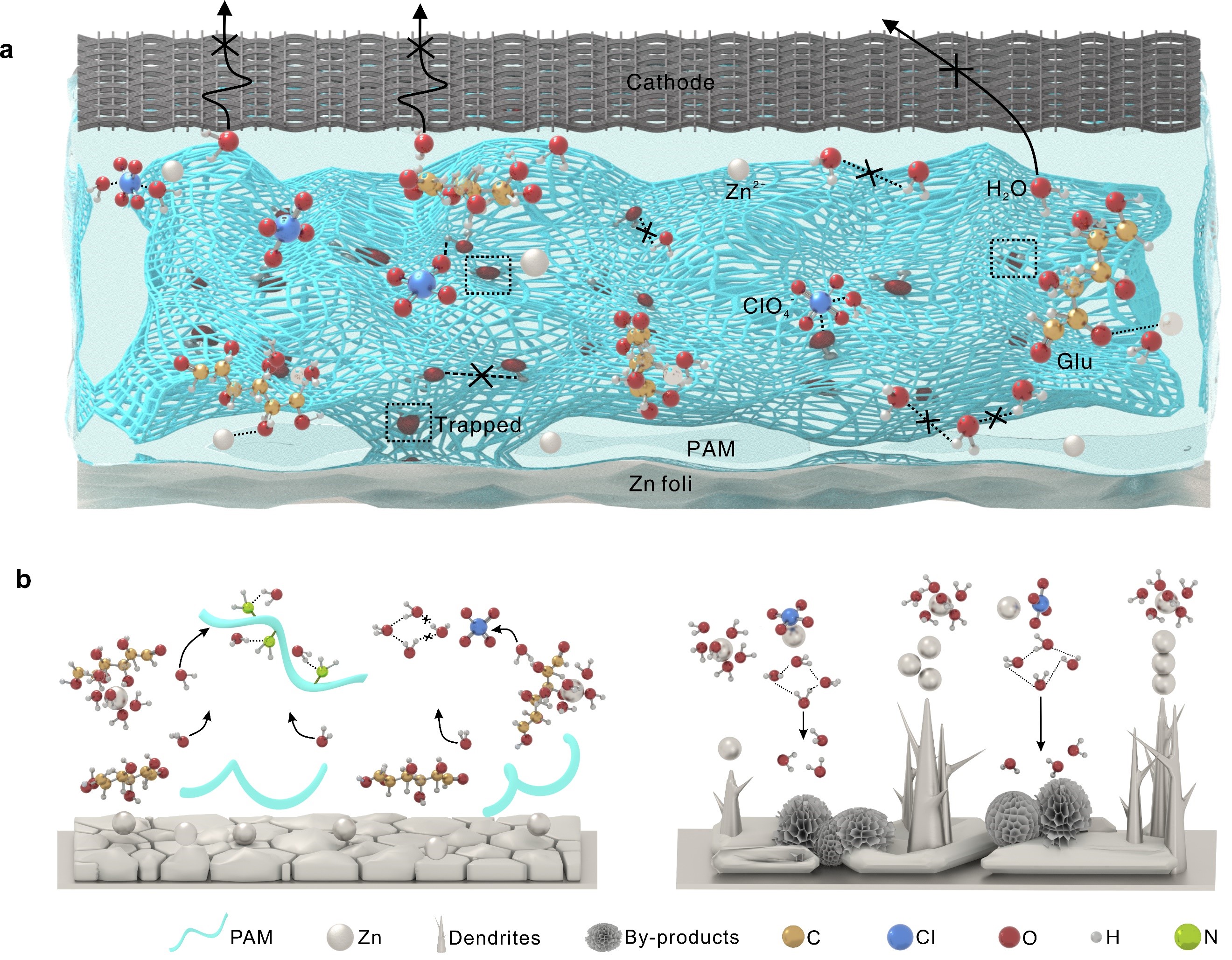 Schematic illustration of the design and construction of electrolyte structure