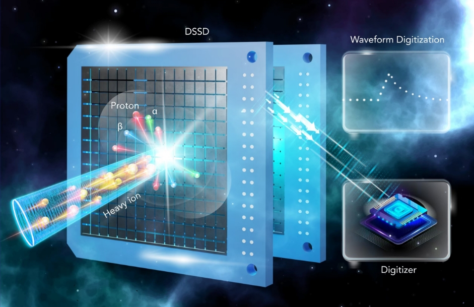Researchers Develop Digital Detector Array for Decay Studies of Exotic Nuclei