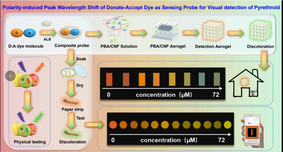 New Fluorescent Probe Enables Rapid, Visible Detection of Harmful Pesticide Residues
