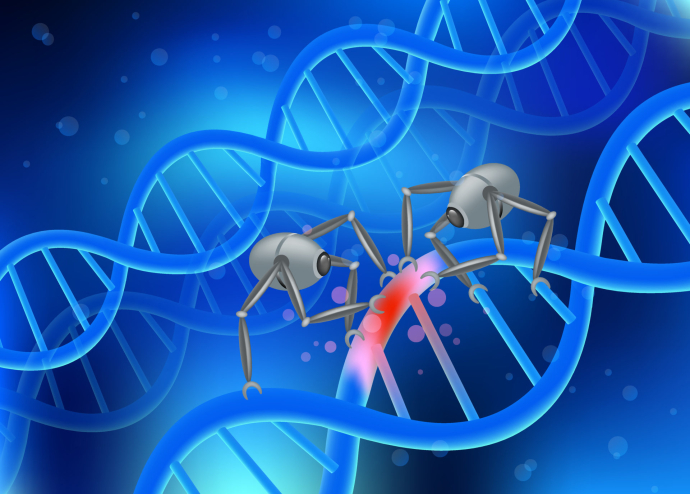 Accurate and Flexible: New Microrobotic Trajectory Tracking Method Using Broad Learning System