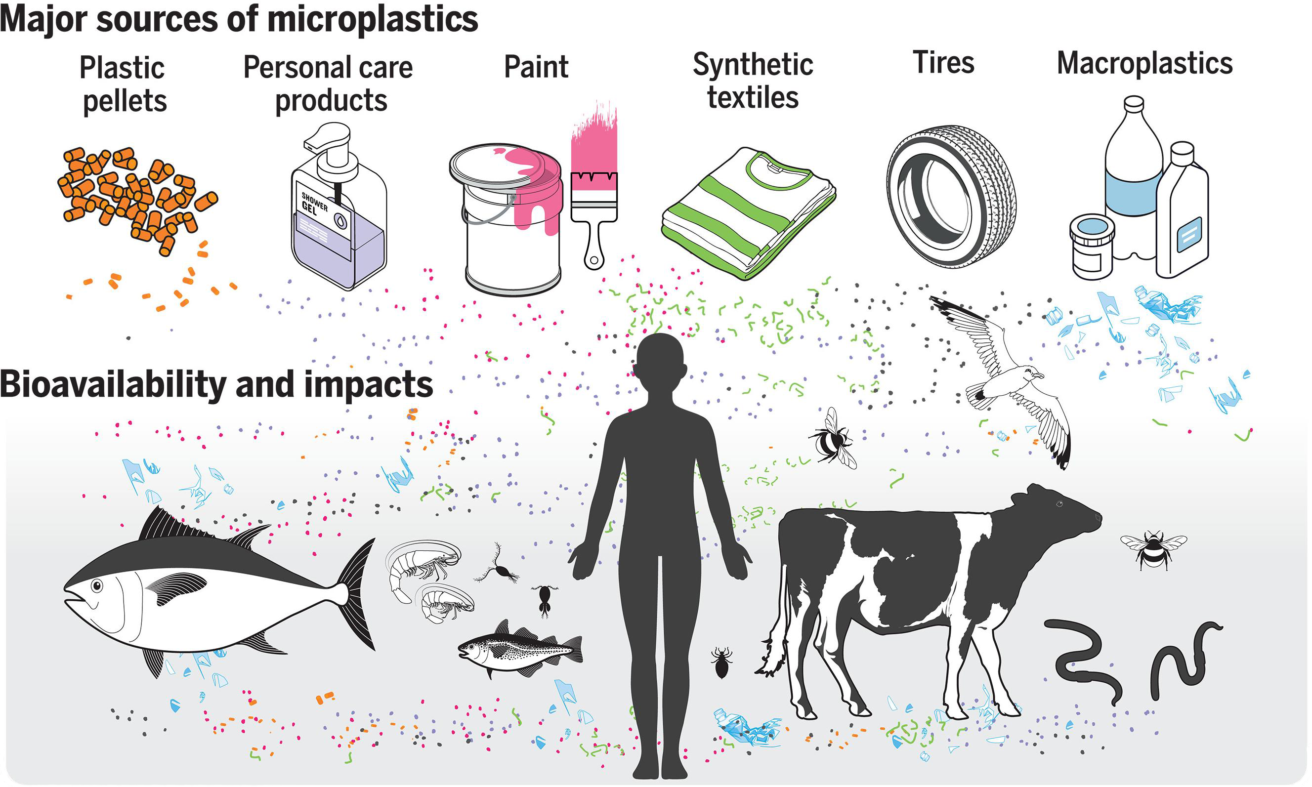 Neural Networks and Raman Spectroscopy Identify Tiny Plastic Invaders for Cleaner Microplastic World