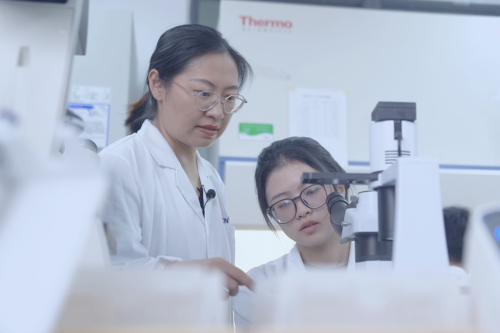 Pioneering Biomaterials for Precision Medicine