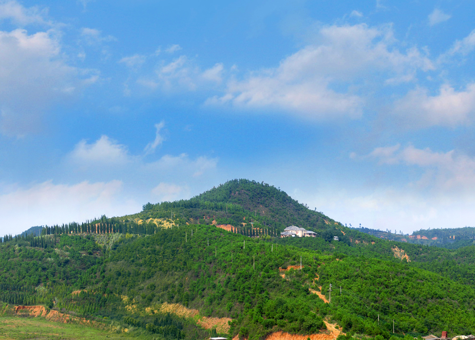 International Geoscience Programme IGCP Project 591 Field Workshop 2014