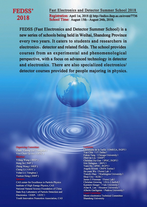 Fast Electronics and Detector Summer School 2018 (FEDSS’2018)