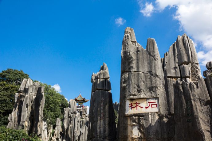 International Workshop on Agrobiodiversity and Conservation of the Belt and Road Countries