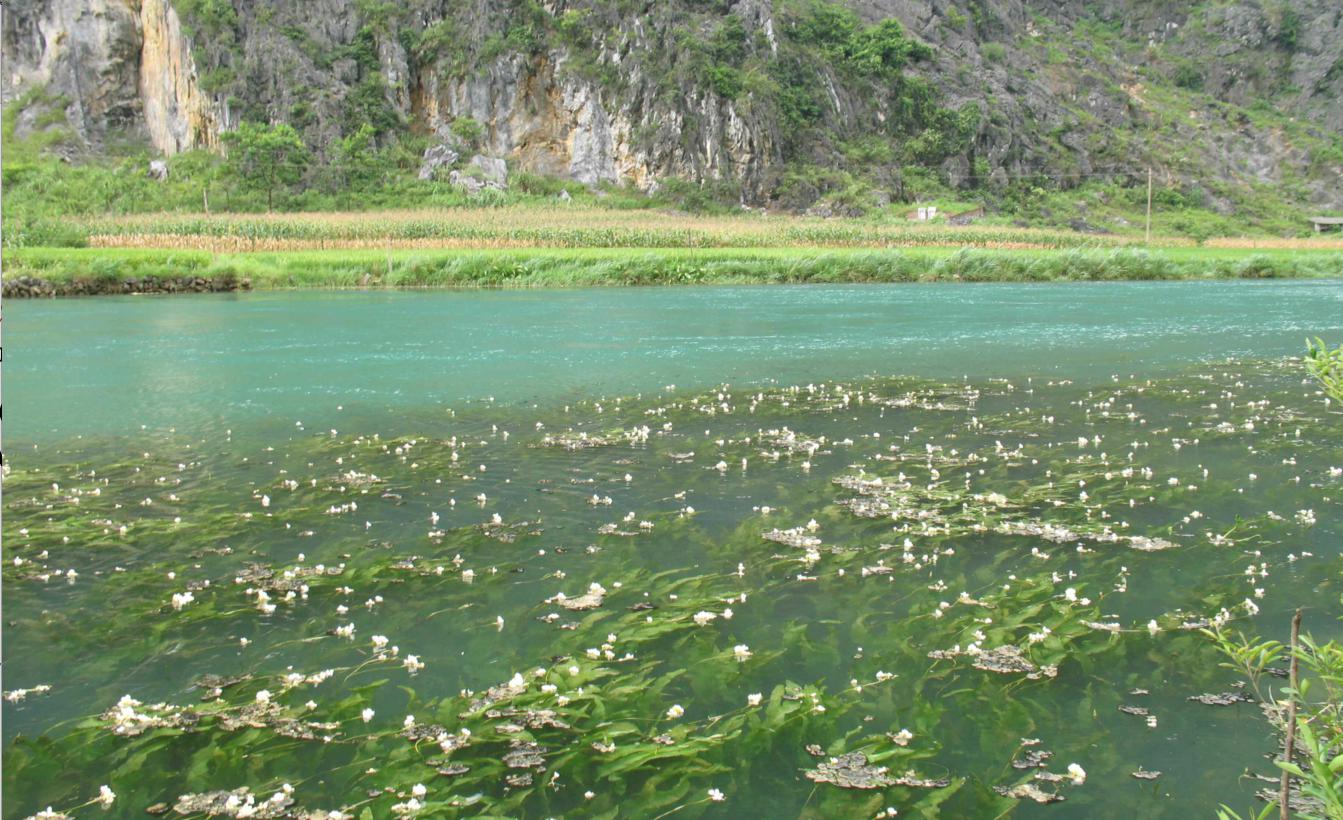 Silkeborg Initiative: The first Young Scholars Symposium on Shallow Freshwater Ecosystem