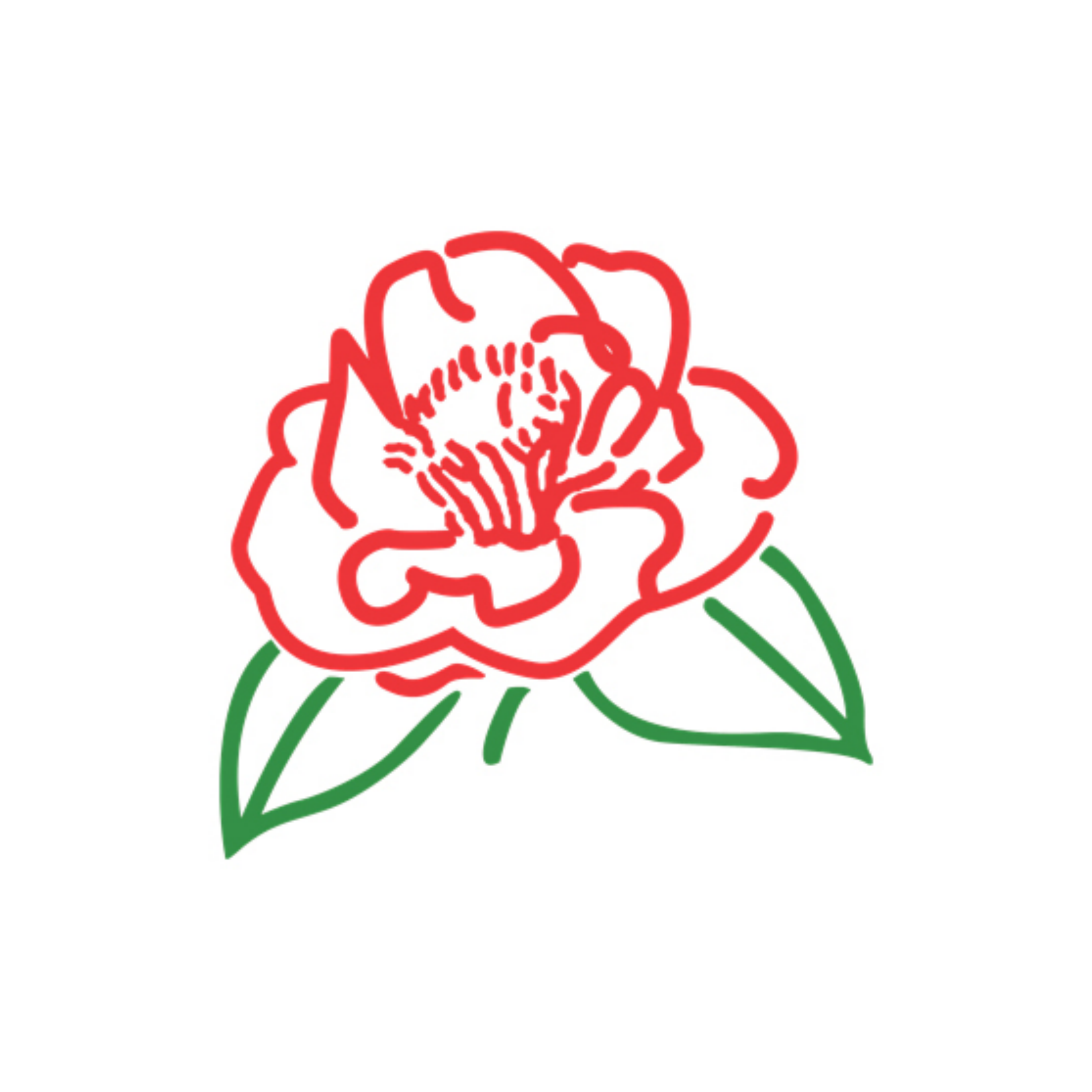 International Camellia Register