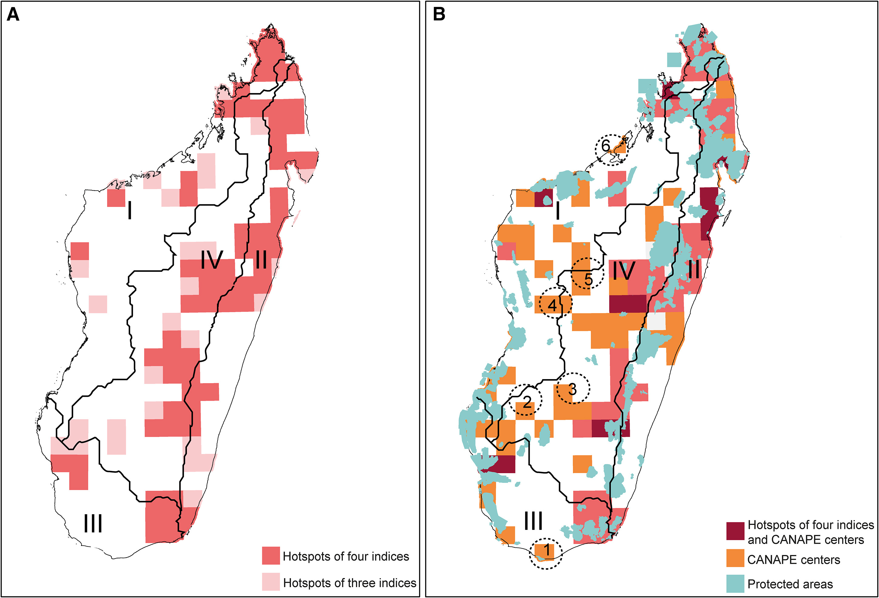 Diversity hotspots, centers of phylogenetic endemism, and conservation gaps for Malagasy vascular plants