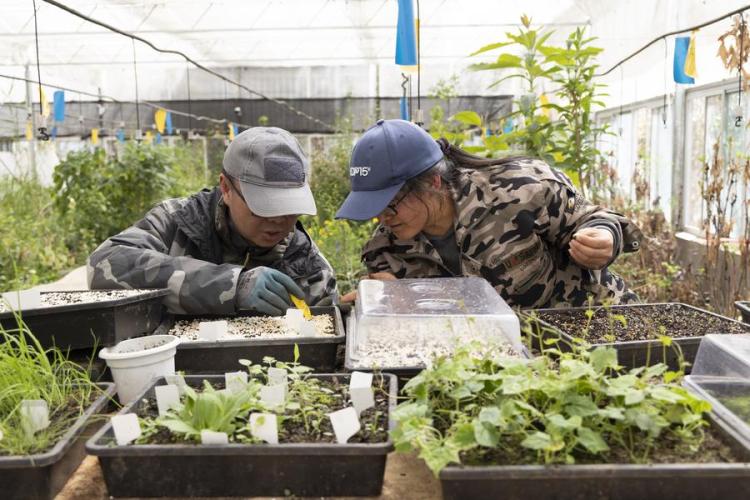 Scientists Seek to Safeguard Biodiversity in SW China