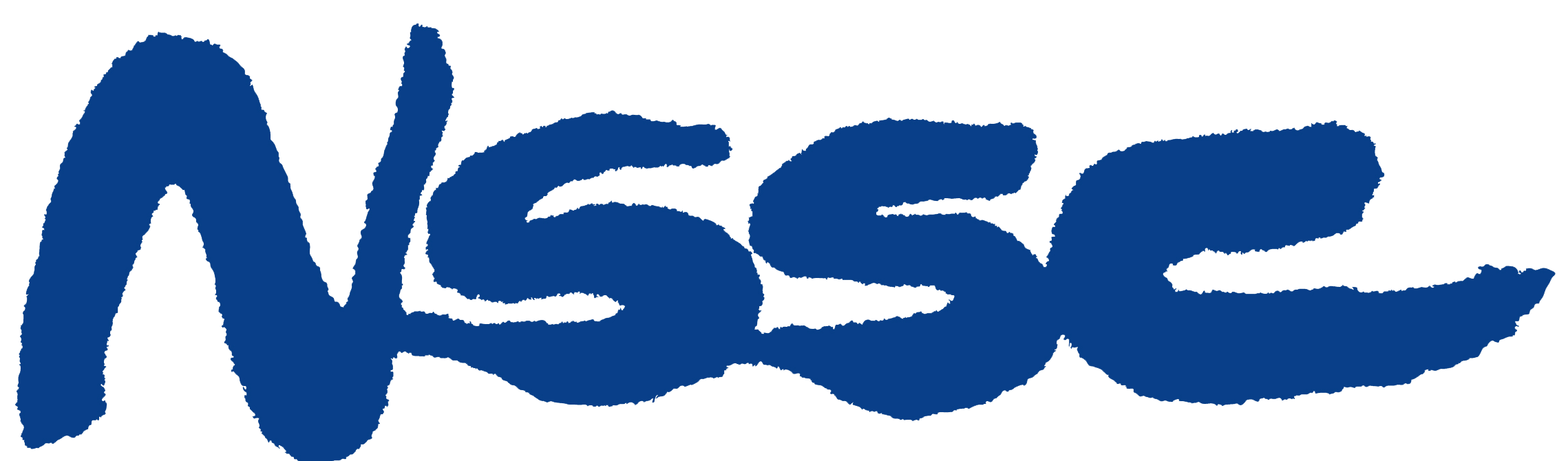 National Space Science Center