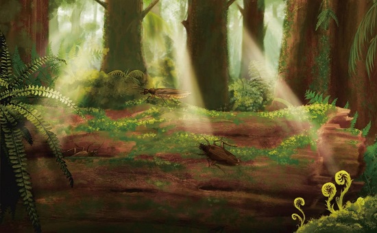 New Fossils Clarify Systematic Position of Umenocoleidae