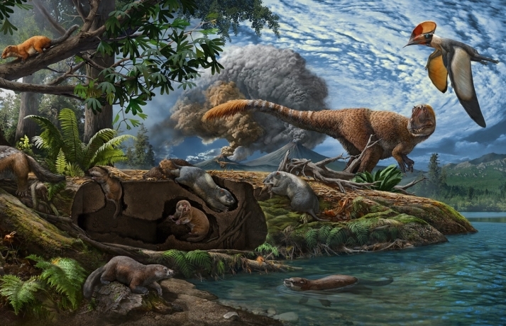 Scientists Discover Two New Species of Ancient, Burrowing Mammal Ancestors