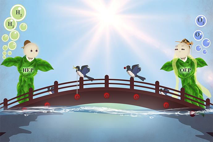 Wide-visible-light-responsive Photocatalyst Boosts Solar Water Splitting