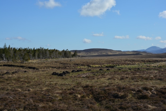 Environmental Disturbance Influences Stability of Permafrost Peatlands Carbon Pool