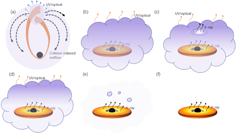 Researchers Unveil Unique Tidal Disruption Event with Unprecedented Early Optical Bump